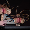 Face Huggers Puppets