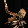 FaceHugger 