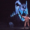 Lyric Opera