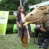 Komodo Dragon Puppet with Pirate