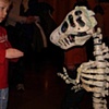 T_Rex 