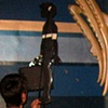 Backstage with bigger Jojo Shadow Puppet