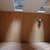 Rec Room with ceiling and Deer Head