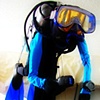 Diver