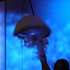 Moon Jellyfish