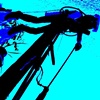 Diver