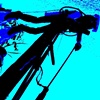 Diver