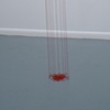 Red Line