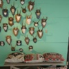 Fall 2008-14