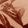 Lute Daimon