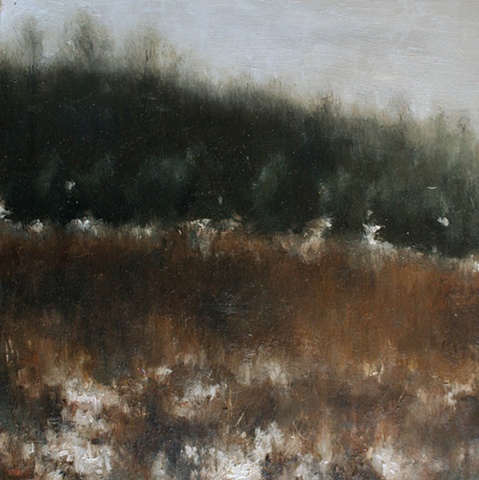 Winter Landscape