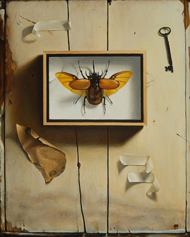 Rhinoceros Beetle