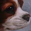 Darla