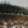 Winter Landscape