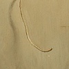 Twine
