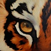 Tiger's Eye