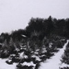 Study for Winter Landscape 2