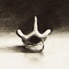 Study for Bone