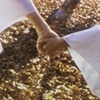 The Boggs - Plant Me A Rose unofficial video
2009