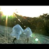 Video & 8mm Stills