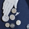 birds and buttons