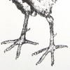 Broccoli with Legs