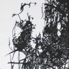 decomposing circus