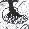 Seed