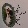 Emily and William's Wedding Album