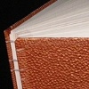 Emily and William's Wedding Album