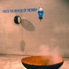 Ephemeral and Steam Sculpture/Installations