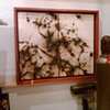 2-5-2011 with Texas Firehouse Diptych