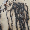 Zen and the Art of Liquid Fire (Cream No. 2)