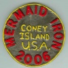 Iron Medallions