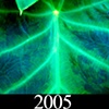 2005