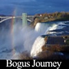 Bogus Journey