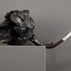 Cervus