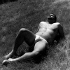Splendor in the Grass