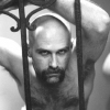 Caged Heat