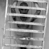 Barriers