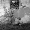 Solitude