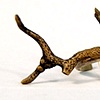 Coral Ring