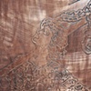 The Fool detail