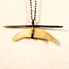 Foxy (Fox tooth Necklace)