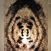 The Fiber