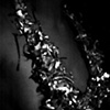 Venus in furs Detail