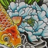 Koi etc