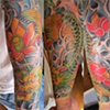 dragon koi