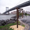2008 DUMBO Art Under the Bridge Festival