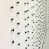 The Lines are Drawn